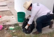 ¿Del inframundo? Capturan a hombre por querer «hartarse» un perro en México ¿Del inframundo? Capturan a hombre por querer "hartarse" un perro en México