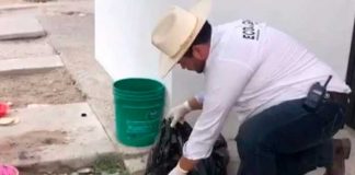 ¿Del inframundo? Capturan a hombre por querer "hartarse" un perro en México