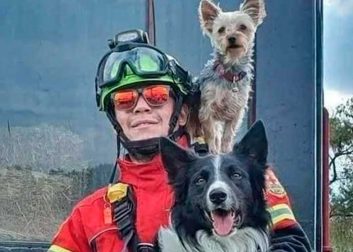 10 años de cárcel por matar a dos perros rescatista en México ¡Justicia!