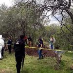 Macabro hallazgo de 11 cadáveres en huerta de aguacates en México Macabro hallazgo de 11 cadáveres en huerta de aguacates en México