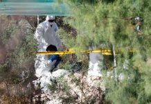 Macabro hallazgo de cuerpos desmembrados en Michoacán, México Macabro hallazgo de cuerpos desmembrados en Michoacán, México