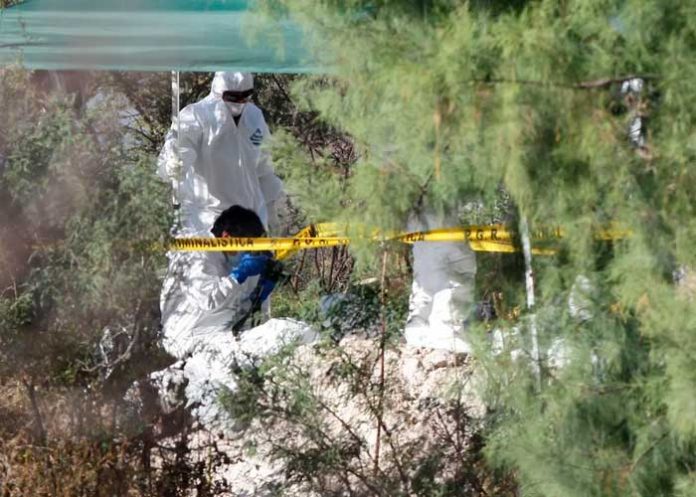 Macabro hallazgo de cuerpos desmembrados en Michoacán, México