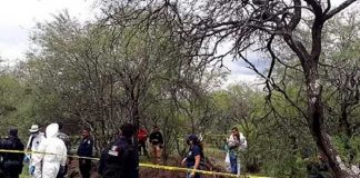 Macabro hallazgo de 11 cadáveres en huerta de aguacates en México