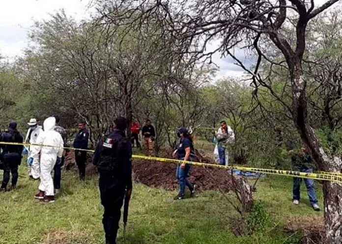 Macabro hallazgo de 11 cadáveres en huerta de aguacates en México