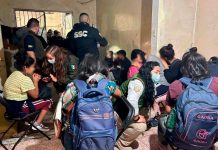 Migrantes guatemaltecas son rescatadas de las garras de «coyotes» en México Migrantes guatemaltecas son rescatadas de las garras de "coyotes" en México