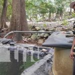 Más estanques de cultivo de tilapia para la economía en Nandaime Cultivo de tilapia sigue progresando en Nandaime