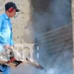 Familias se suman a la lucha anti epidémica contra el dengue en Ocotal