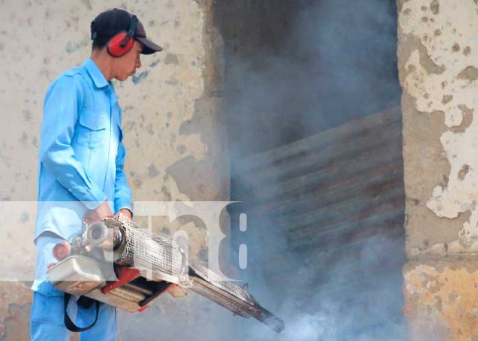 Familias se suman a la lucha anti epidémica contra el dengue en Ocotal