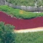 ¿Señal bíblica? Se tiñe de rojo un arroyo de Nueva Jersey ¿Señal bíblica? Se tiene de rojo un arroyo de Nueva Jersey