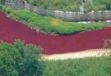 ¿Señal bíblica? Se tiñe de rojo un arroyo de Nueva Jersey ¿Señal bíblica? Se tiene de rojo un arroyo de Nueva Jersey