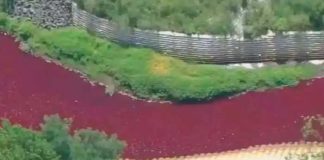 ¿Señal bíblica? Se tiene de rojo un arroyo de Nueva Jersey
