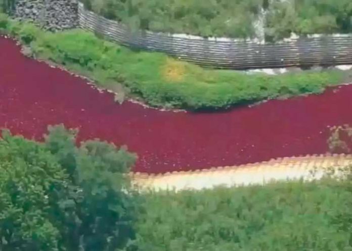 ¿Señal bíblica? Se tiene de rojo un arroyo de Nueva Jersey
