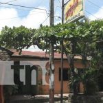 Finca Magdalena y Hotel Castillo, negocios históricos en Ometepe Promoción de negocios históricos en Ometepe
