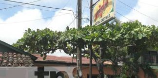 Promoción de negocios históricos en Ometepe