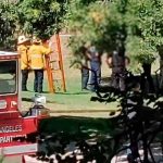 ¡Diabólico! Hallan cuerpo en llamas y colgando de un árbol en Los Ángeles ¡Diabólico! Hallan cuerpo en llamas y colgando de un árbol en Los Ángeles