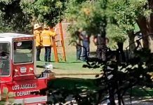 ¡Diabólico! Hallan cuerpo en llamas y colgando de un árbol en Los Ángeles