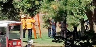 ¡Diabólico! Hallan cuerpo en llamas y colgando de un árbol en Los Ángeles