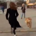 ‘Hizo de las suyas’ Perro le robó el micrófono en vivo a una periodista La periodista corrió detrás del bandido perro