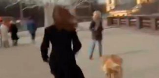 La periodista corrió detrás del bandido perro 