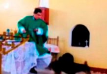¡Indignante! Sacerdote patea a perrito en plena misa en Perú (Video) ¡Indignante! Sacerdote patea a perrito en plena misa en Perú (Video)