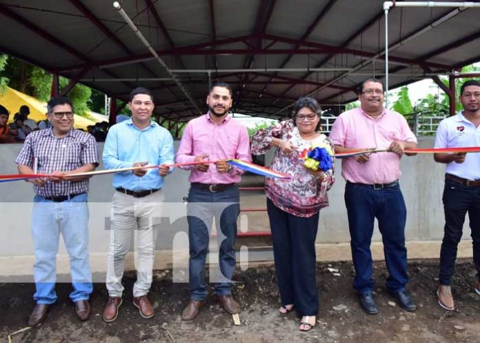 porcina-leon-3 Inauguran Centro de Mejoramiento Genético y Producción Porcina en León