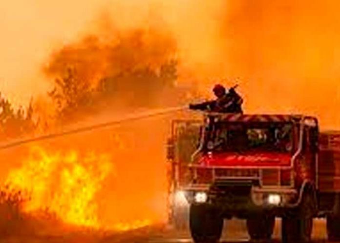 Portugal declara en alerta por riesgo de varios incendios forestales