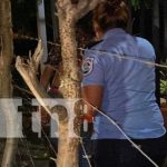 Terrible: Encuentran a una joven inconsciente en un predio baldío en Juigalpa Una joven quedó inconsciente en un predio baldío de Juigalpa / TN8