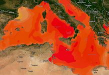 España reporta temperaturas jamás antes vistas en el mar Mediterráneo España reporta temperaturas jamás antes vistas en el mar Mediterráneo