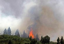 Alrededor de 700 personas evacuadas tras incendio forestal en España Alrededor de 700 personas evacuadas tras incendio forestal en España