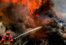 Más de 700 mil hectáreas quemadas dejan incendios en países de la Union Europea