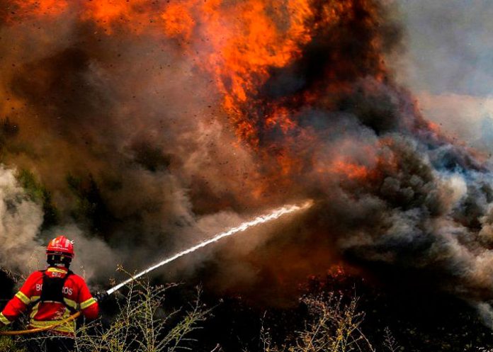 q Más de 700 mil hectáreas quemadas dejan incendios en países de la Union Europea