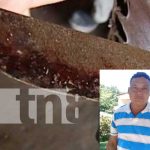 Violencia machista: Macheteó a su pareja en ataque de ira en Rivas Capturan a hombre en Rivas por femicidio frustrado