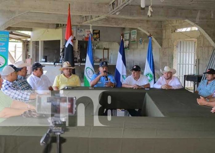 Anuncian las fiestas taurinas para Siuna