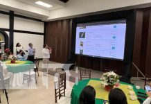 Mejor café de Nicaragua supera los $2 mil del precio quintal en subasta internacional Taza de la Excelencia del café en Nicaragua