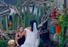¡Por atrevida! Le zampan pastelazo por meterse en la boda de su «comadre» ¡Por atrevida! Le zampan pastelazo por meterse en la boda de su "comadre"