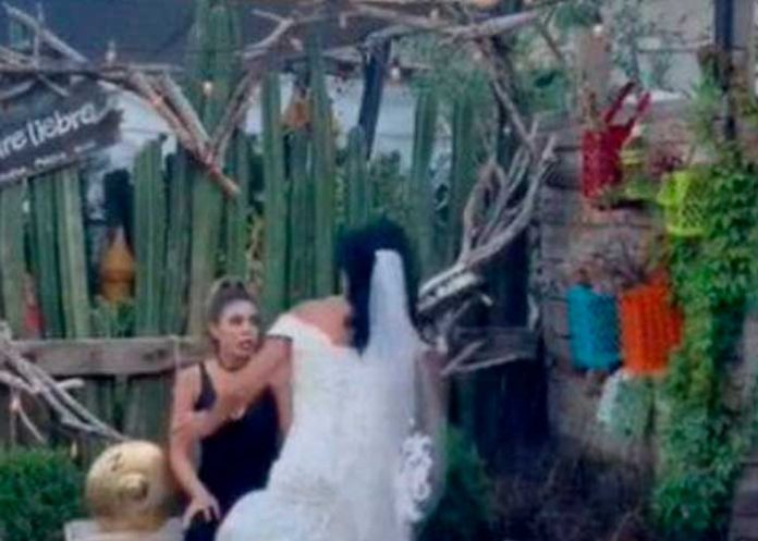 ¡Por atrevida! Le zampan pastelazo por meterse en la boda de su 
