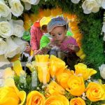 Miles de promesantes acompañan el retorno de Santo Domingo a su morada Tradición y fervor por Santo Domingo, en Managua