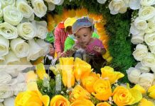 Miles de promesantes acompañan el retorno de Santo Domingo a su morada Tradición y fervor por Santo Domingo, en Managua