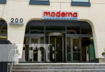 Demandan a Pfizer y BioNTech por patente de vacunas Covid-19 Moderna demanda a Pfizer y BioNTech por patente de vacunas contra Covid-19