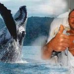 Vivió para contarlo: Buzo fue tragado y escupido por una ballena Ballena jorobada abrió la mandíbula y lo arrojó de nuevo