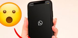 ¿WhatsApp cambia de nombre? Entérate de nuevos cambios