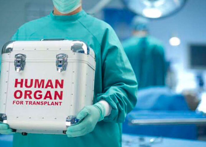 Puedes donar tus organos luego de morir ¿Qué necesita saber?