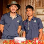 Fresanica, pioneros del cultivo hidropónico de fresas en Nicaragua Fresanica, pioneros del cultivo hidropónico de fresas en Nicaragua