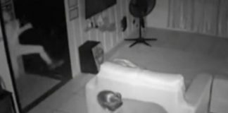 Elevan del cuello a una niña mientras juega con amigas