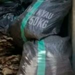 ¡Cochinos! 7 mil "genitales" de burro iban de contrabando en Nigeria