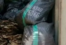 Incautan 7 mil «genitales» de burros que iban de contrabando ¡Cochinos! ¡Cochinos! 7 mil "genitales" de burro iban de contrabando en Nigeria