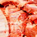 Vaky Chancho un emprendimiento en crecimiento en Chinandega Vaky Chancho un emprendimiento en crecimiento en Chinandega