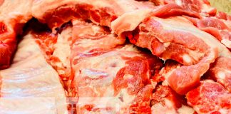 Vaky Chancho un emprendimiento en crecimiento en Chinandega