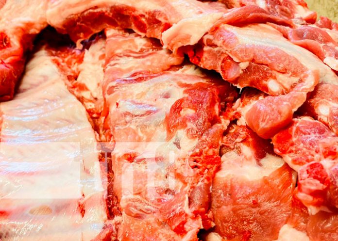 Vaky Chancho un emprendimiento en crecimiento en Chinandega