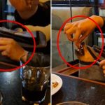 Perrito ingresa «al escamote» en una comidería para comer pollo Perrito ingresa "al escamote" en una comidería para comer pollo